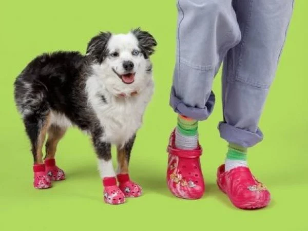 Pet Crocs