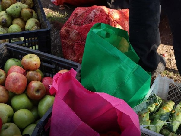 Voluntarios recuperando alimentos en una feria local para ollas comunes y compostaje.