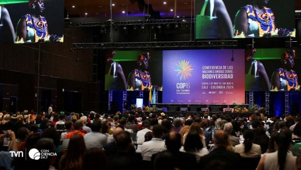 Delegados de la COP16 en Cali discutiendo estrategias de conservación y biodiversidad.