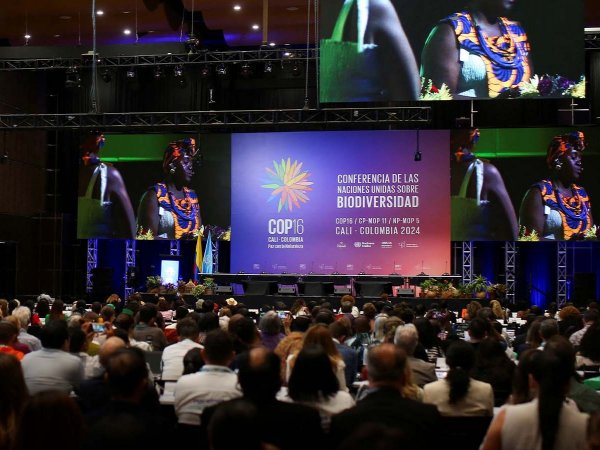 Delegados de la COP16 en Cali discutiendo estrategias de conservación y biodiversidad.