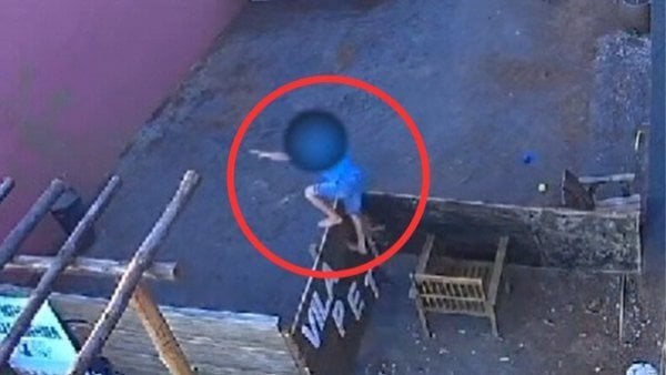 Niño que asesinó a animales en granja de Brasil