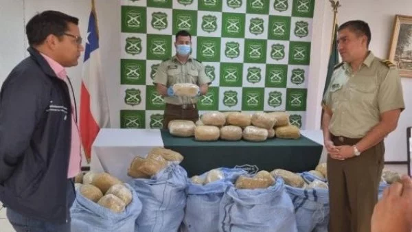 Hallazgo Millonario Marihuana Frontera Argentina