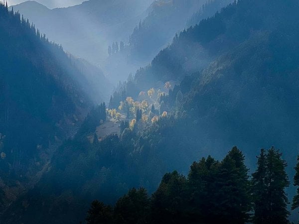 Bosque tropical amenazado por la deforestación, uno de los ecosistemas más vulnerables según el informe de la UICN.