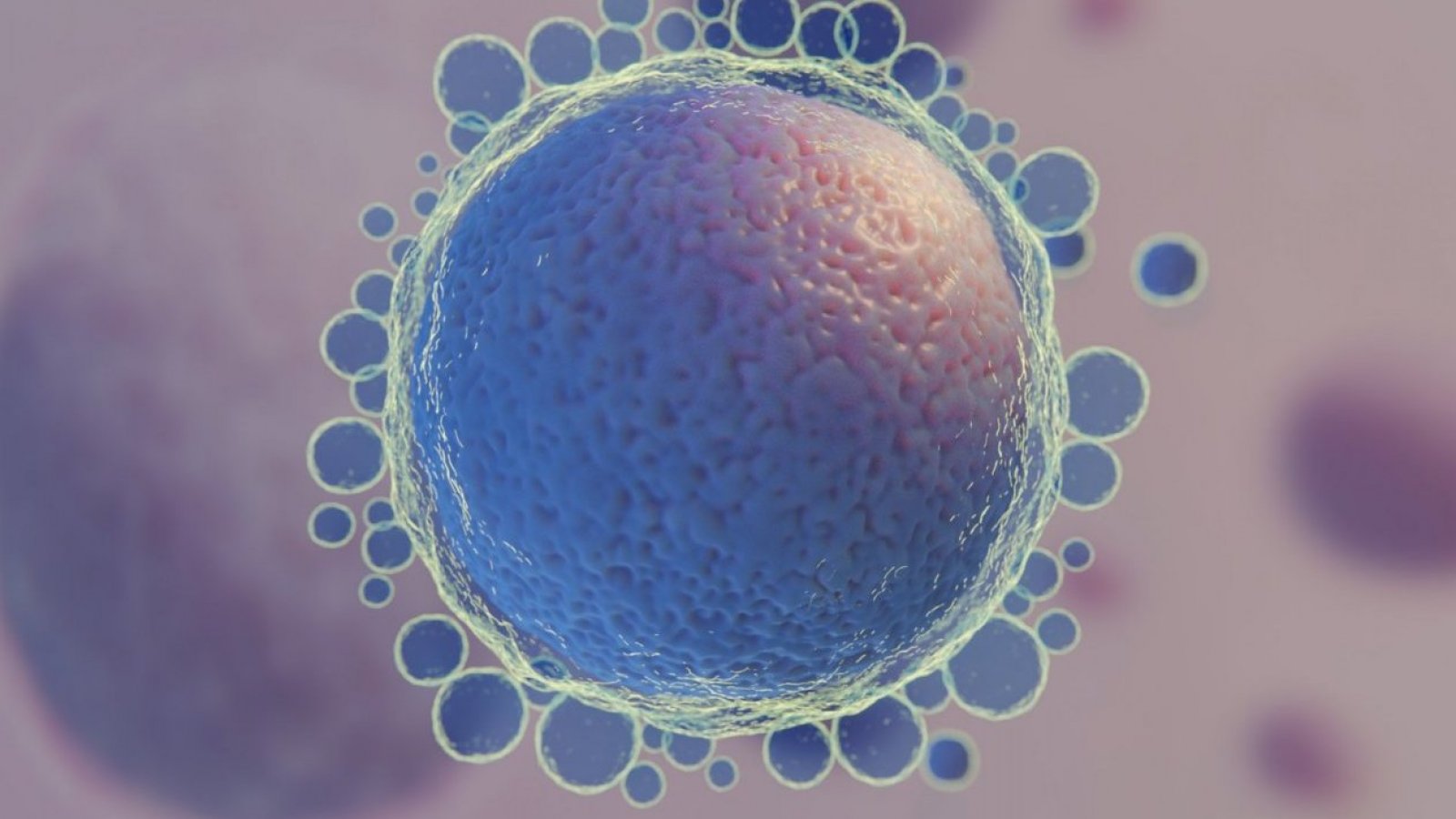 Graphic of a stem cell