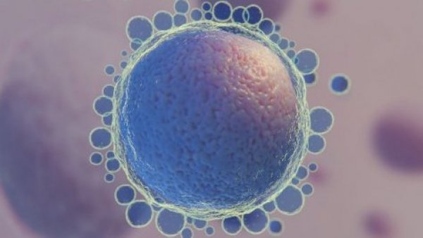 Graphic of a stem cell