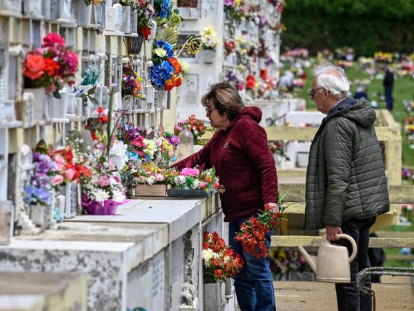 ¿Es feriado irrenunciable este 1 de noviembre? Día de Todos los Santos. Cementerio