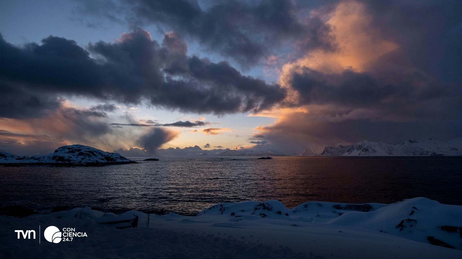 Conmemoración del Día de la Antártica Chilena con actividades en todo Chile.