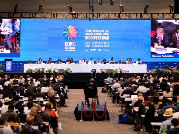 Delegados de la COP16 discutiendo acuerdos sobre biodiversidad y conservación oceánica en Cali, Colombia.