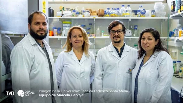Investigadora de la USM desarrolla bioproducto para degradar residuos textiles y generar compost.