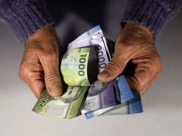 Profesora. Bono de Desempeño Laboral