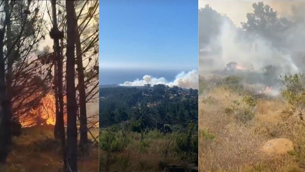 Alerta Roja en Valparaíso: Senapred solicita evacuar diversos sectores por incendio forestal