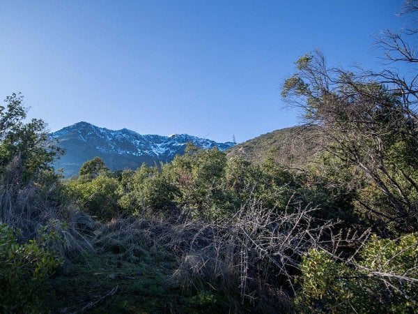 Vista del Parque Cantalao con sus senderos y actividades al aire libre, rodeado de naturaleza en Peñalolén.