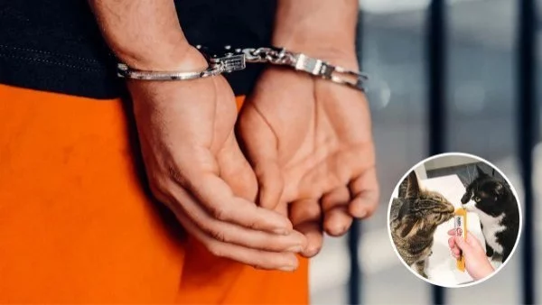 Churu productos más robados