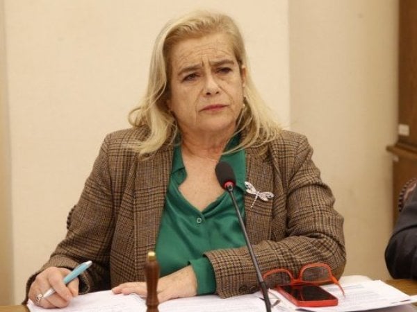 Diputada Flor Weisse