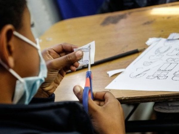 Sistema SAE, educación