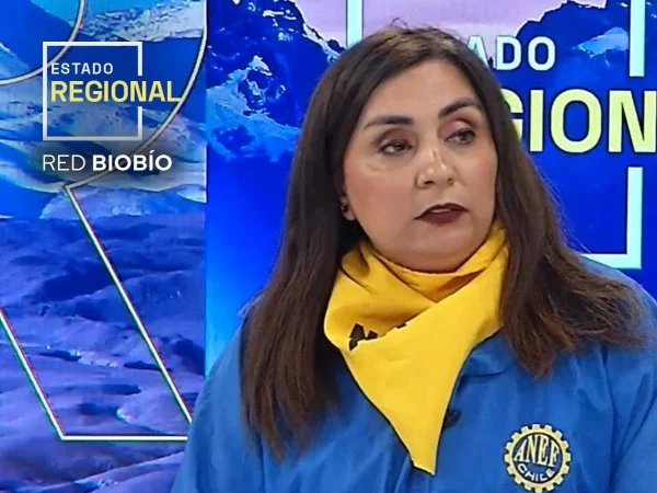 Estado Regional Red Biobío - Viernes 22 de noviembre 2024