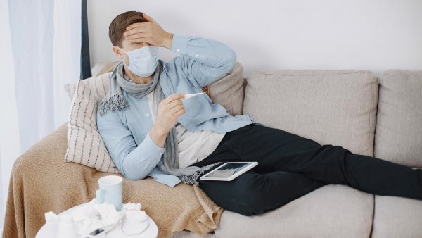 Síntomas bacteria mycoplasma