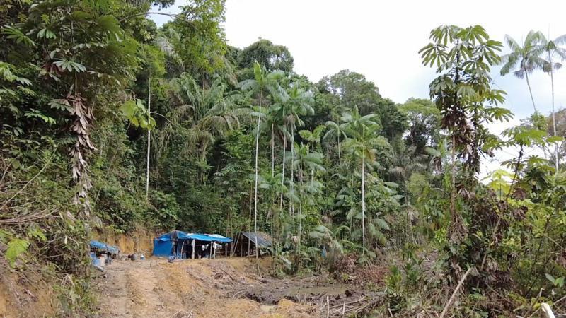 Tiendas de campaña en la selva.