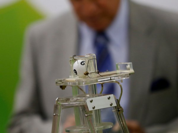 ¿Cuántos sorteos quedan de La Suerte en Chile 2024?