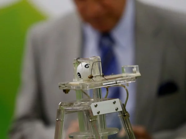 De dónde son los ganadores que lleva La Suerte en Chile 2024