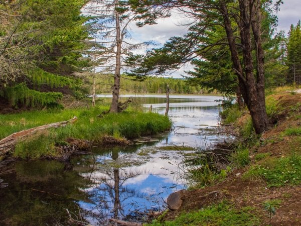 ¿Qué hacer en Aysén?