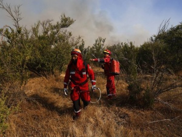 Incendio forestal