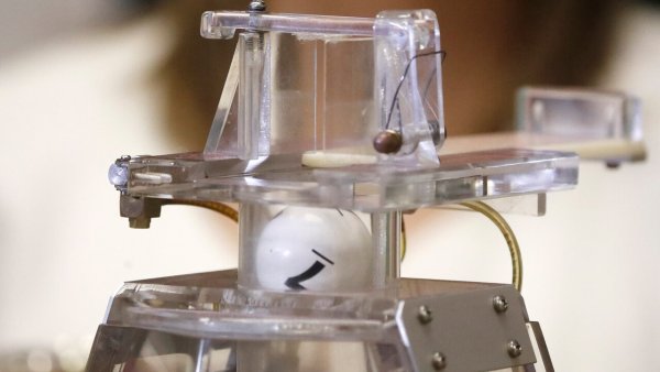 ¿Cuándo es el último sorteo de La Suerte en Chile 2024?