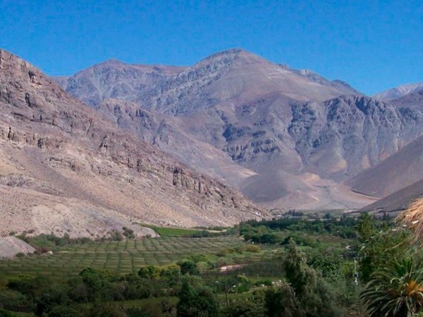 Vista del Monumento Natural Tres Cruces en el Valle del Elqui, resaltando su flora y paisajes únicos.