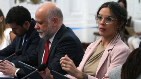 Ministra Vallejo en Comisión investigadora
