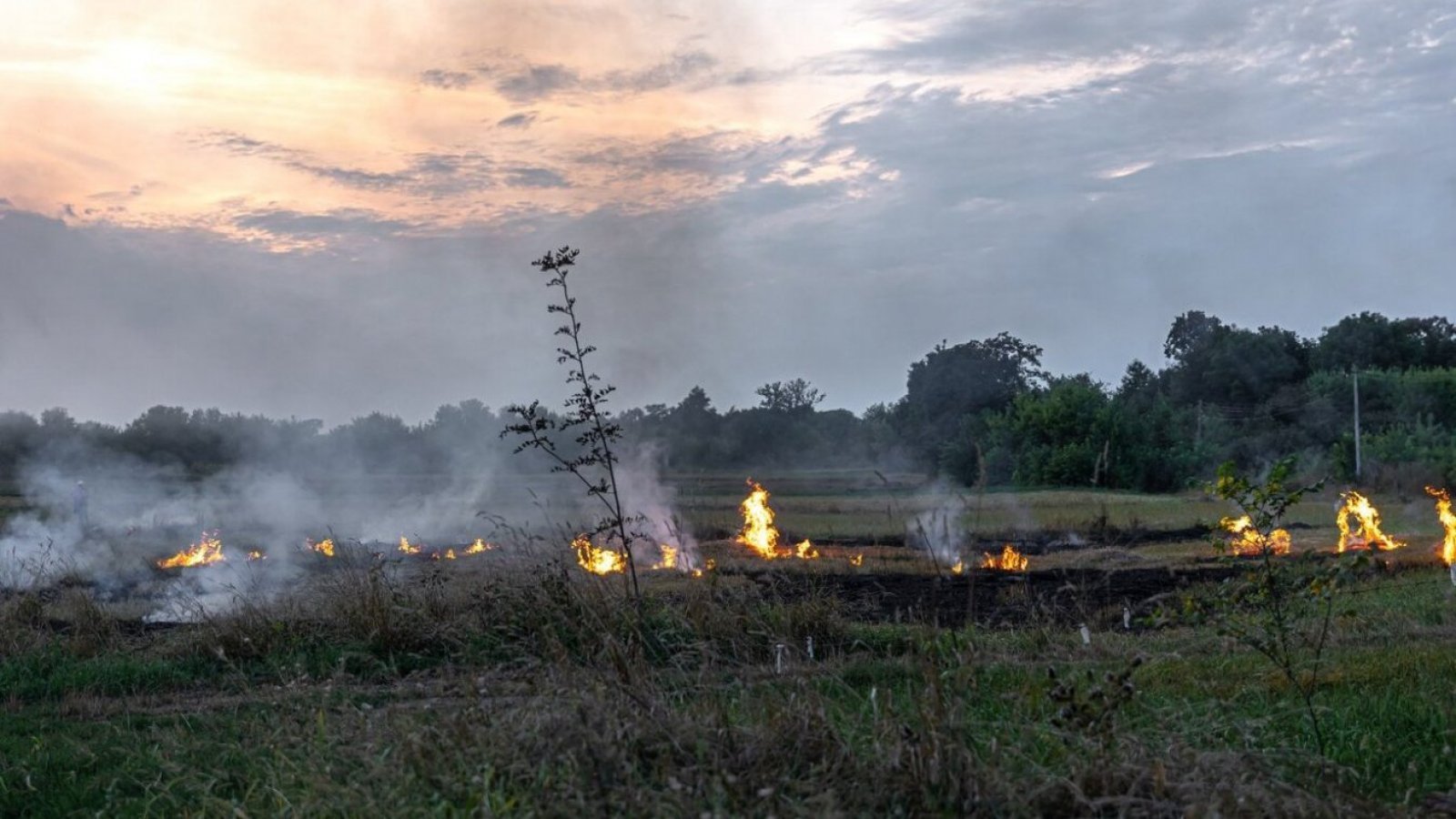 Medidas cautelares incendios forestales RM