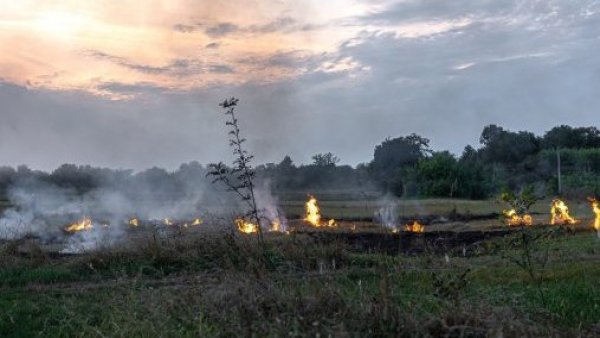 Medidas cautelares incendios forestales RM