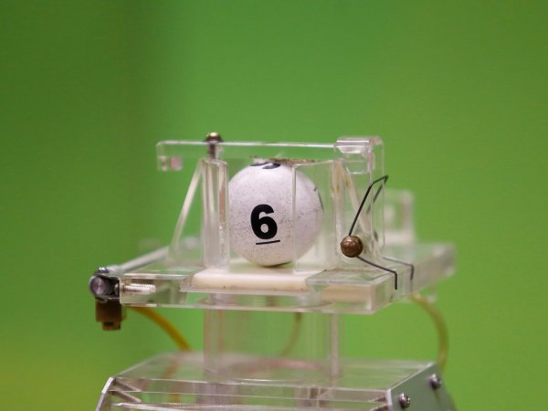 Conoce todos los ganadores de La Suerte en Chile 2024