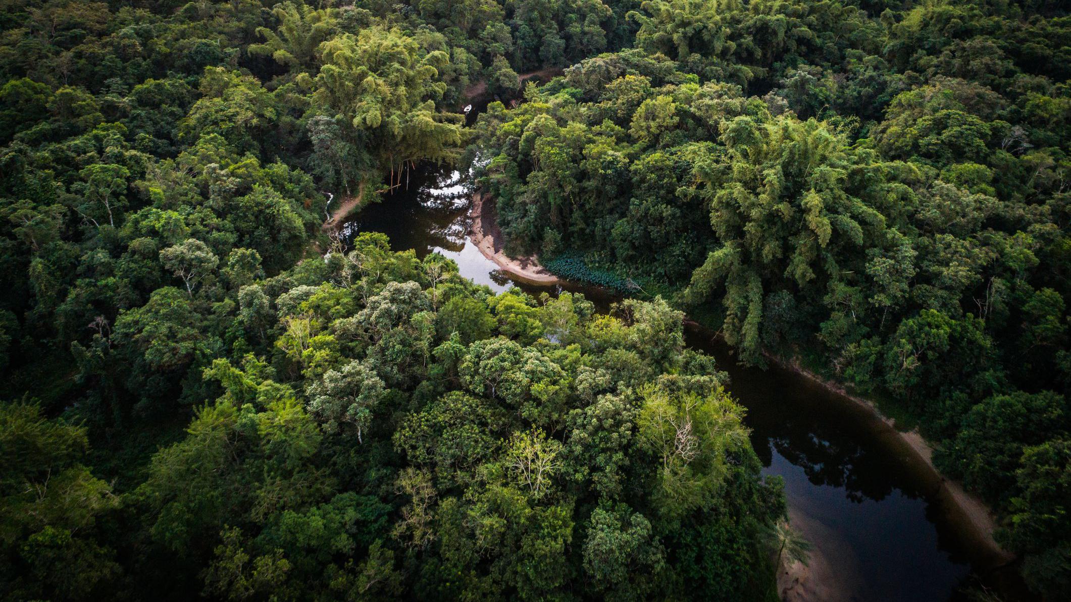 vista aérea del amazonas
