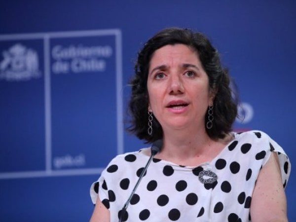 Ministra Aisén Etcheverry