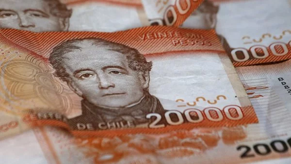 Bonos sin cobrar en enero 2025. Billetes. Dinero