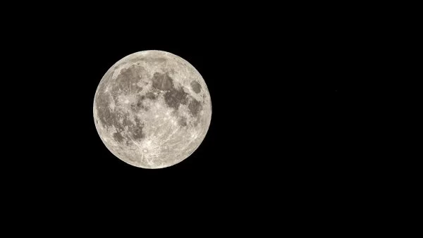 Luna del lobo 2025