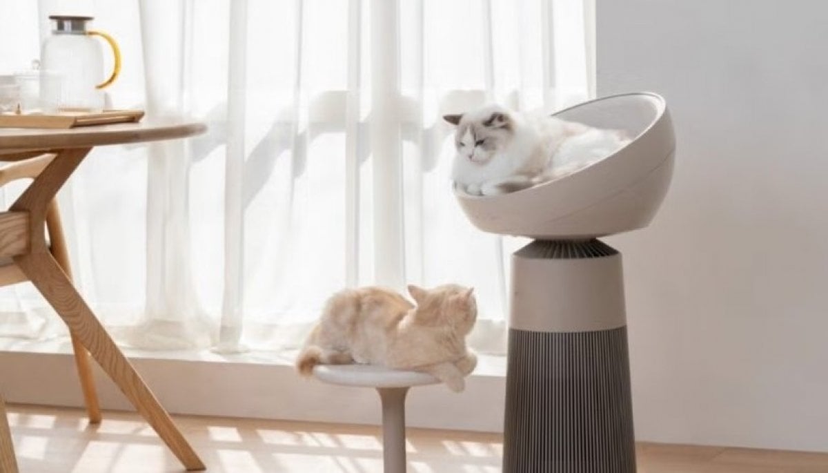 AeroCat Tower: El purificador de aire y torre para gatos que fue