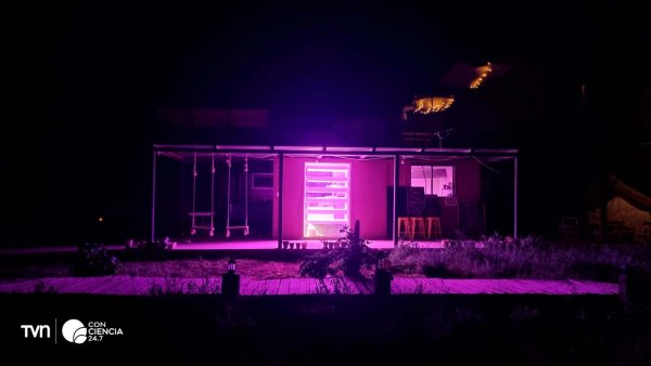 Huerto vertical en el hotel Atacama Loft & Glamp, cultivando hojas verdes en pleno desierto.