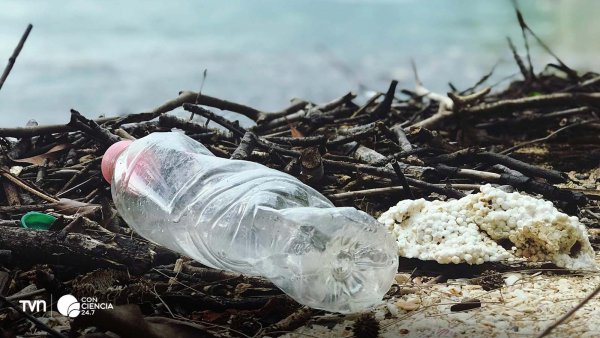 Vasos no compostables y envases no sostenibles en playa.