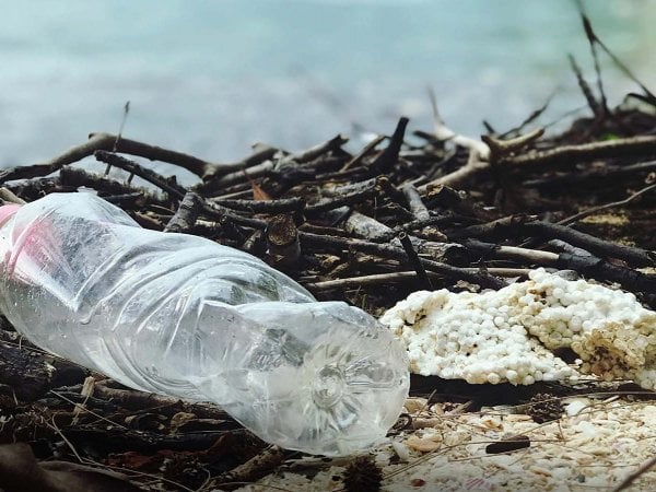 Vasos no compostables y envases no sostenibles en playa.