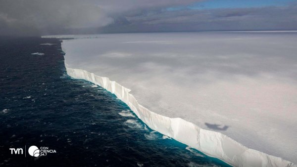 El iceberg A23a, con 3.600 kilómetros cuadrados, se desplaza hacia Georgia del Sur en el Atlántico Sur.