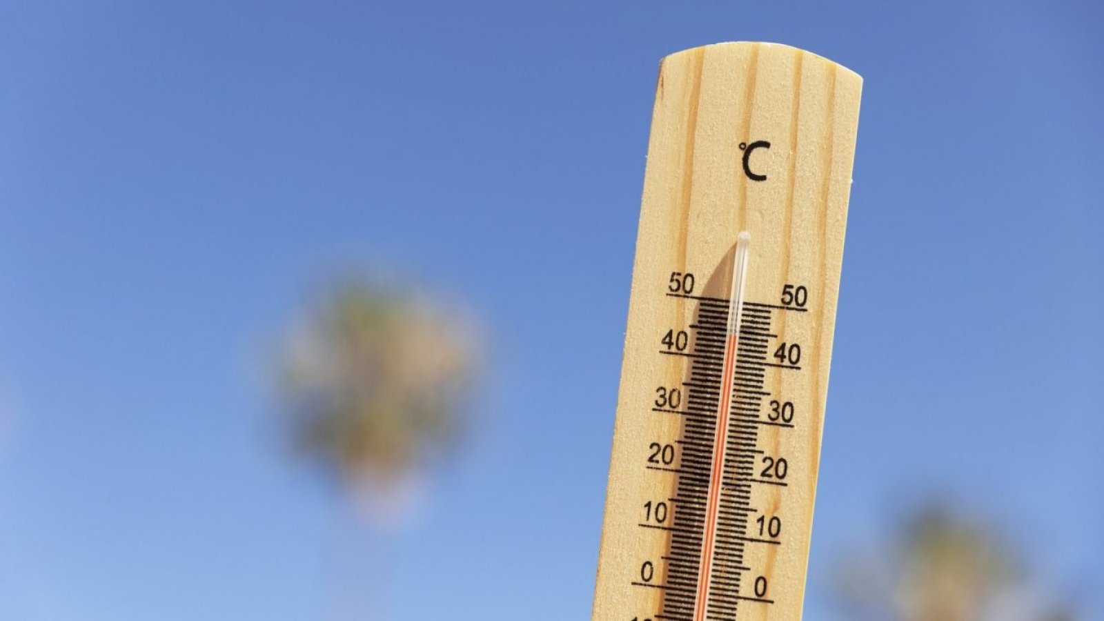 emiten-alerta-roja-calor-extremo- region-biobio