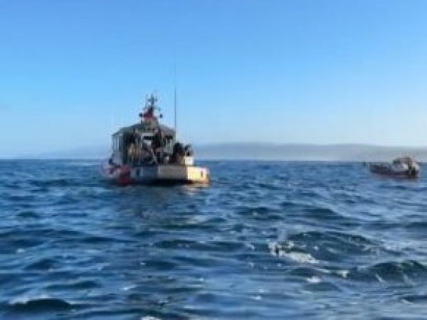 Búsqueda de desaparecidas en Osorno