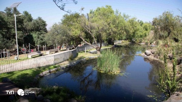 Visitantes recorriendo la Ruta Ecocultural en Bosque Santiago, interactuando con códigos QR educativos.