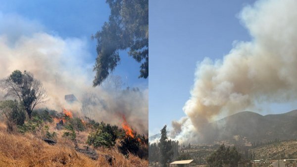 alerta-roja-incendio-forestal-region-valparaiso