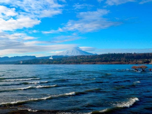 Vista panorámica del lago Villarrica, rodeado de naturaleza y afectado por contaminación ambiental.