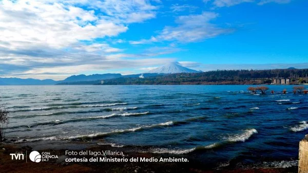 Vista panorámica del lago Villarrica, rodeado de naturaleza y afectado por contaminación ambiental.