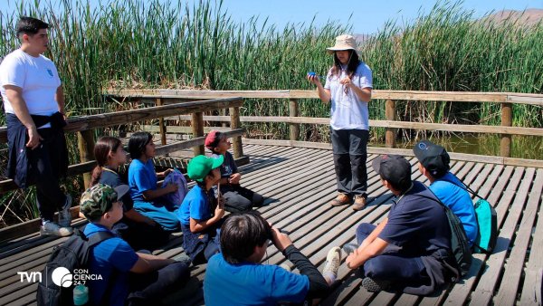 Taller de prevención de incendios forestales con vecinos y brigadistas en la Región Metropolitana.