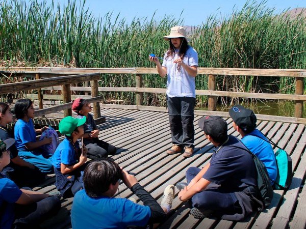 Taller de prevención de incendios forestales con vecinos y brigadistas en la Región Metropolitana.