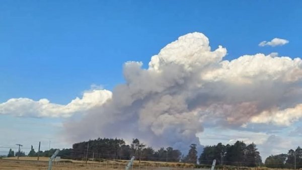 alerta-roja-incendio-forestal-ercilla